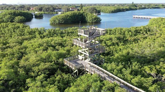 Weedon Island Preserve