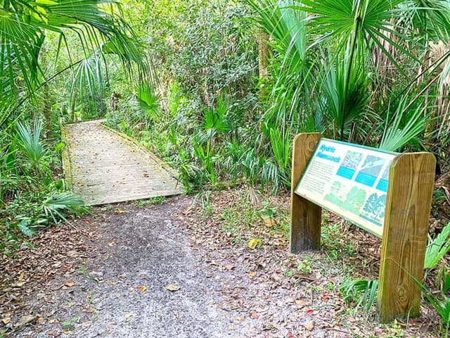 Brevard County Enchanted Forest Sanctuary