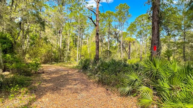 Fish Hawk Creek Preserve South Fish Hawk Creek Preserve South