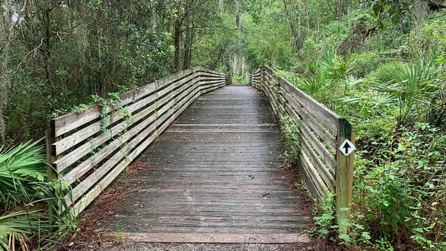 Rhodine Scrub Nature Preserve Rhodine Scrub Nature Preserve