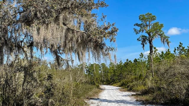 Triple Creek Nature Preserve Triple Creek Nature Preserve